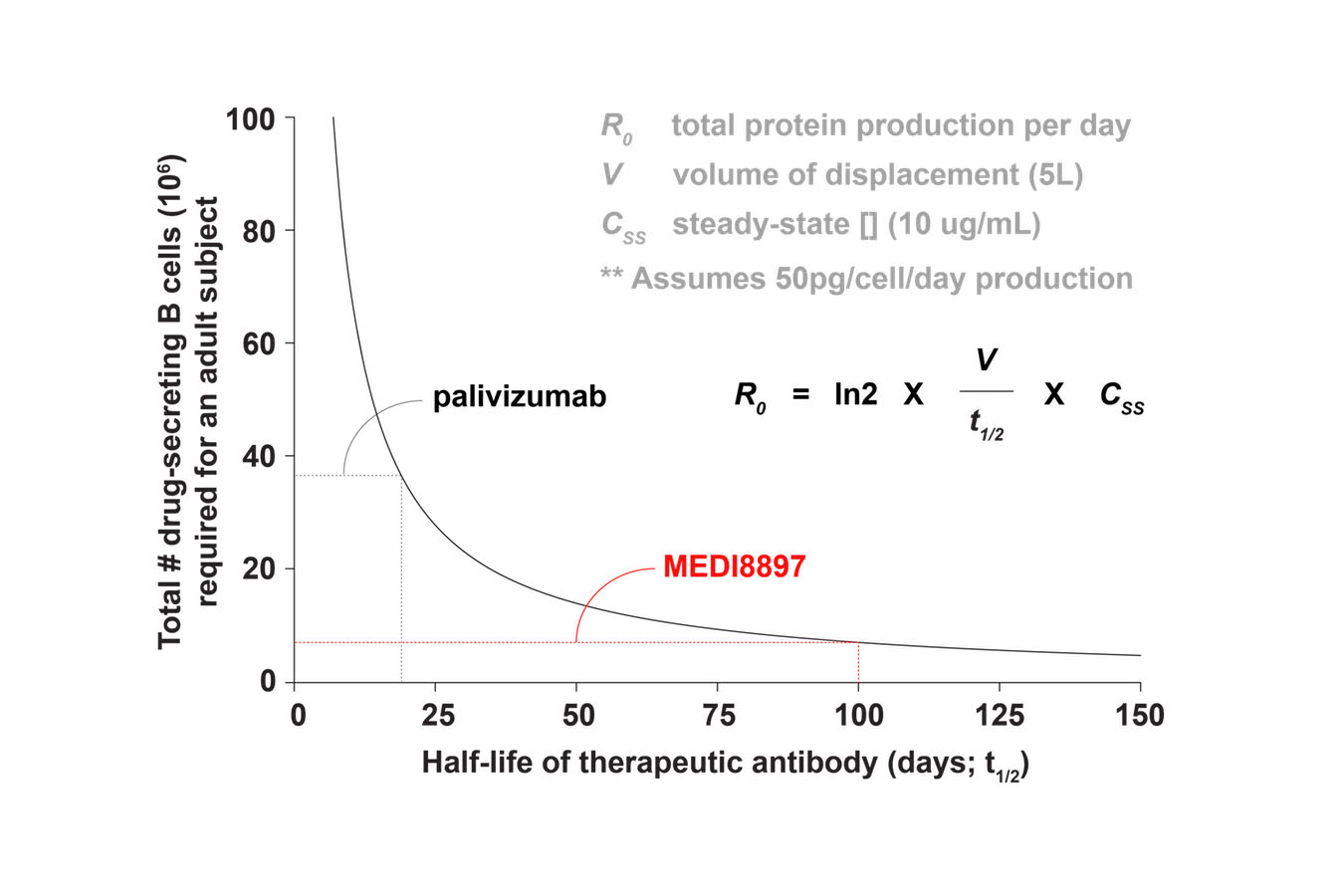 Graph showing half-life of therapeutic antibody