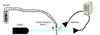 CIIT Cell Sorting Diagram small CIIT Cell Sorting Diagram small