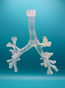 3D printed flexible tracheal bronchial tree anatomical model