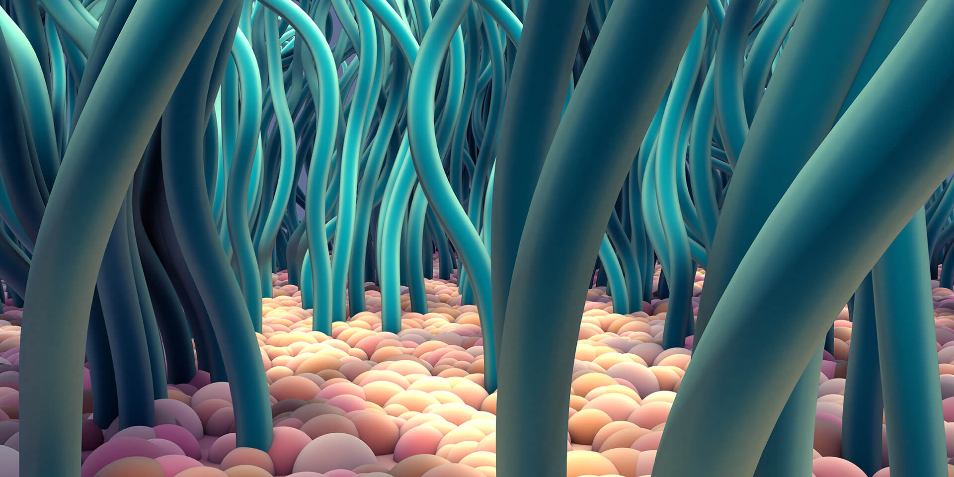 Detailed image of mucociliary