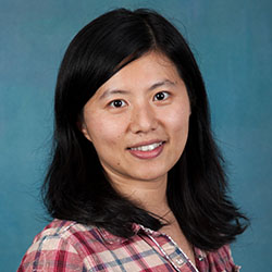 Ying Zheng, PhD