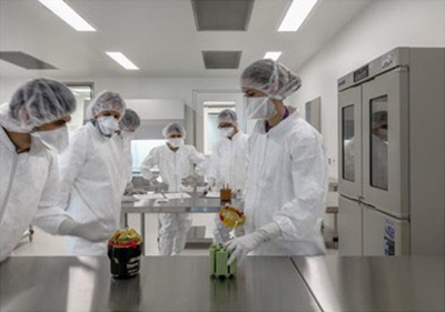 Researchers in a lab