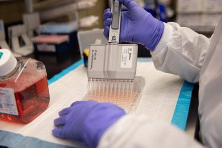 Gloved hands using lab equipment