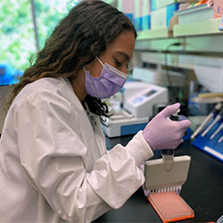 A gloved and masked lab assistant pipettes samples in a laboratory