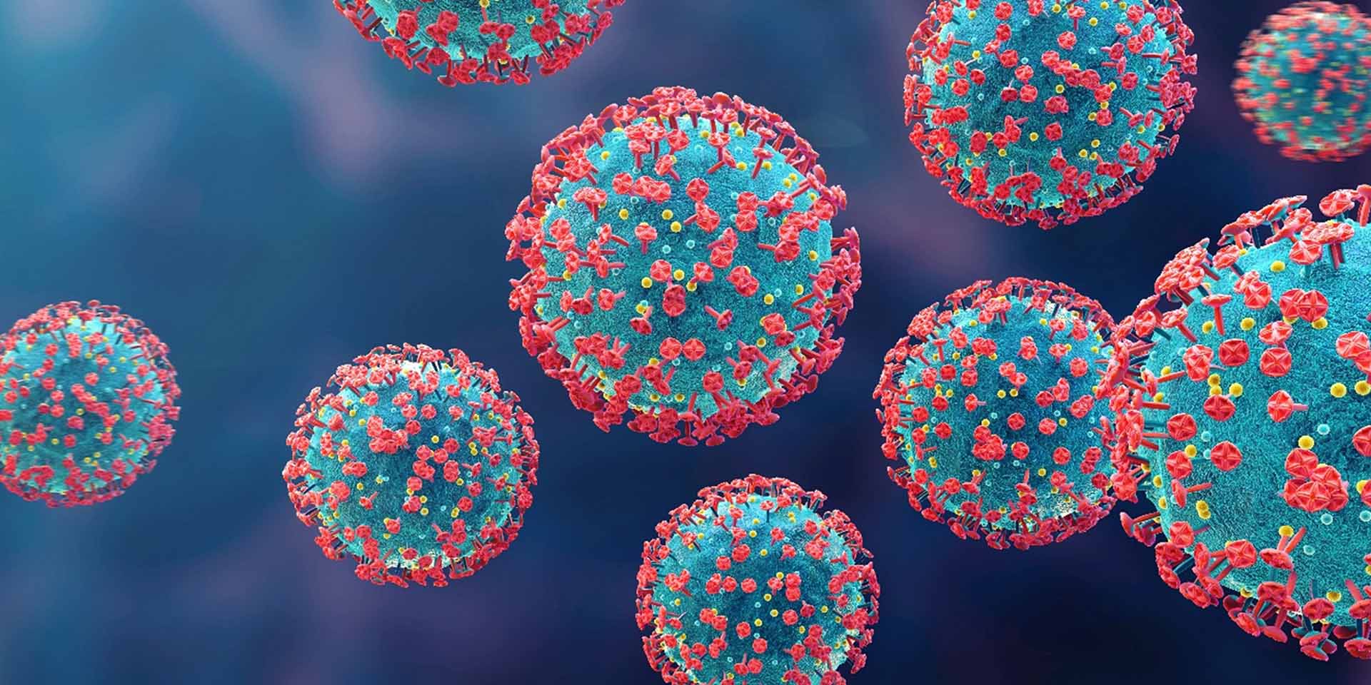 Illustration of COVID-19 viruses