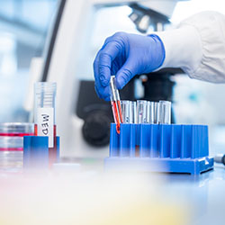 A gloved hand holding a test vial