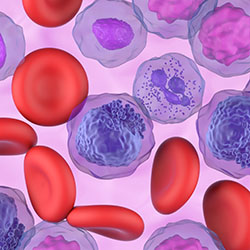 Detailed graphic illustration of close-up leukemia and blood cells 