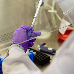 A researcher running an experiment in a lab