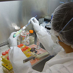 A researcher performs a test in a lab