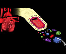 Heart drawing Heart drawing