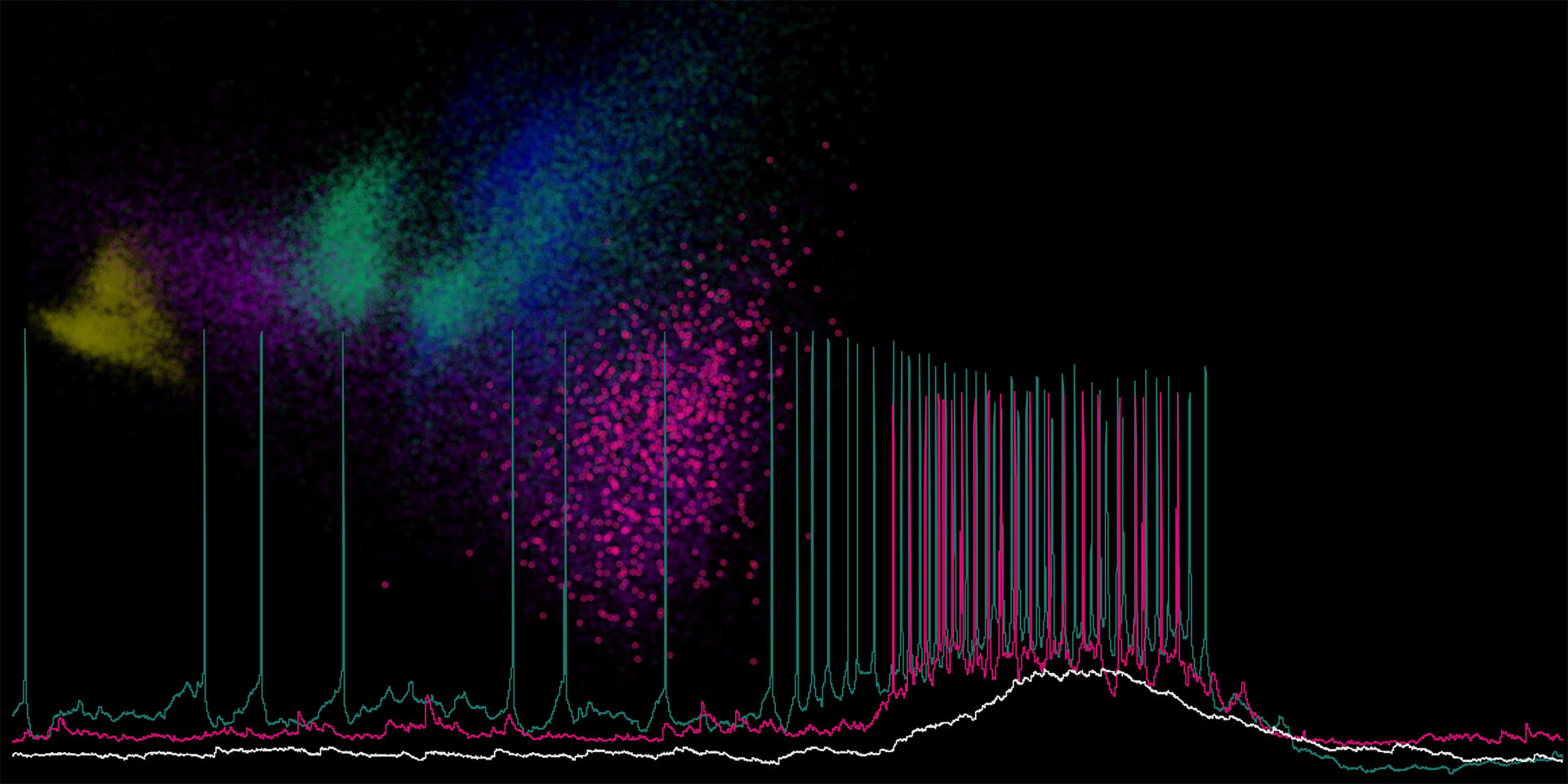 Colorful output of brain activity captured by Baertsch Lab
