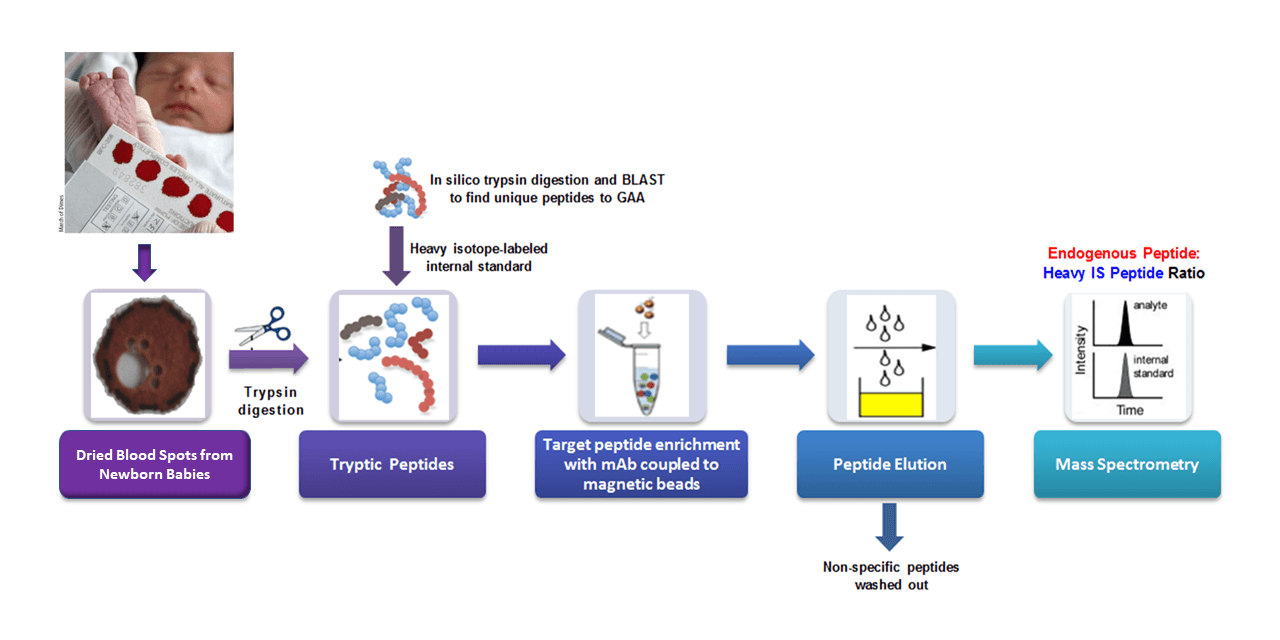 Infographic describing lab's research