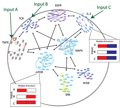 Graphic showing inputs