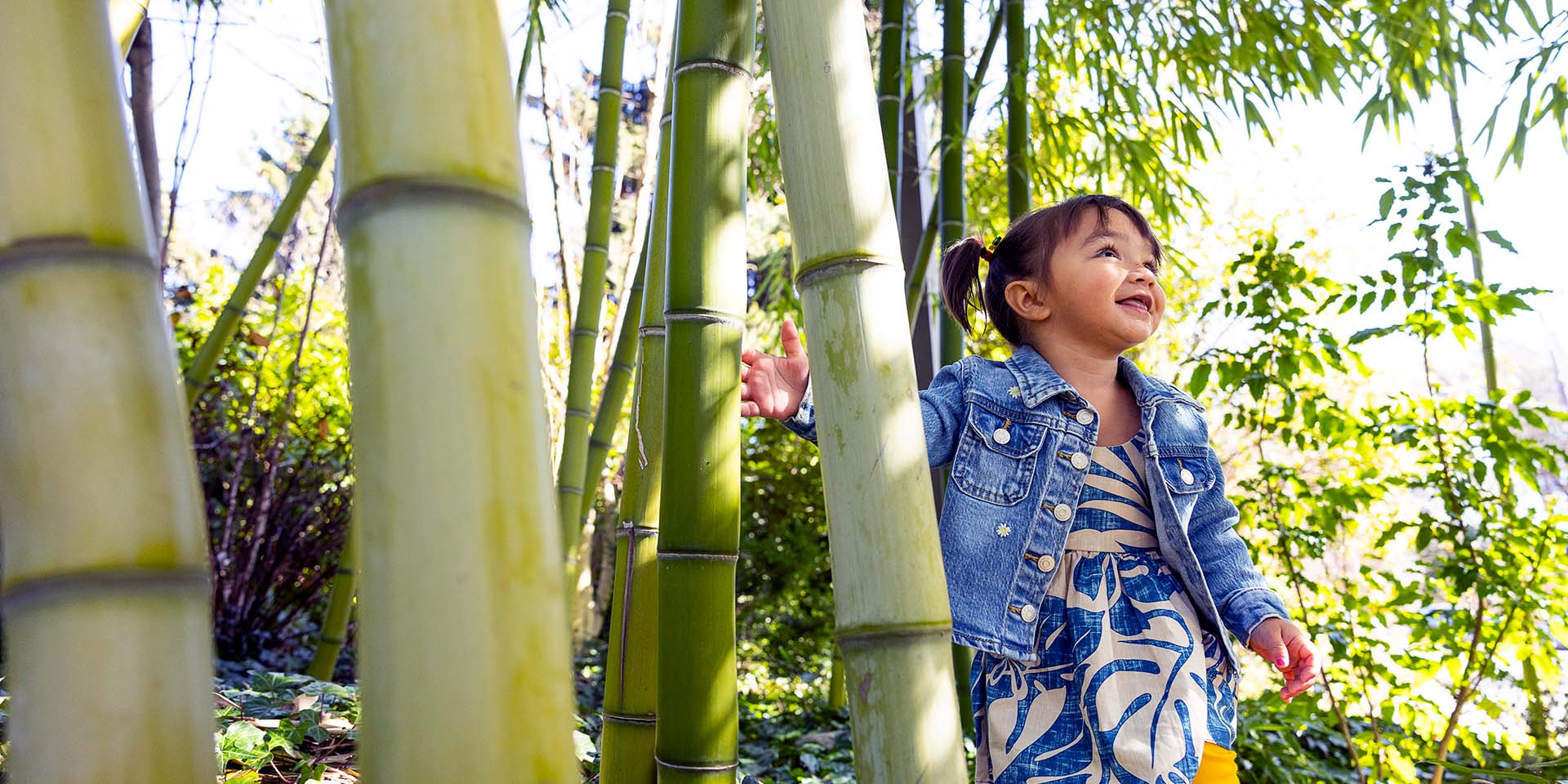 A girl runs through a bamboo forest