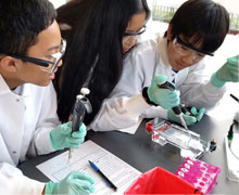 Students holding micropipettes and loading an agarose gel