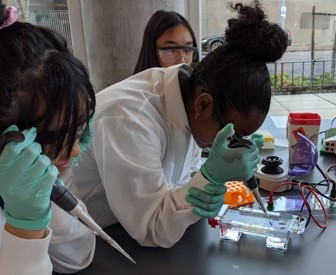 Students holding micropipettes and loading an agarose gel