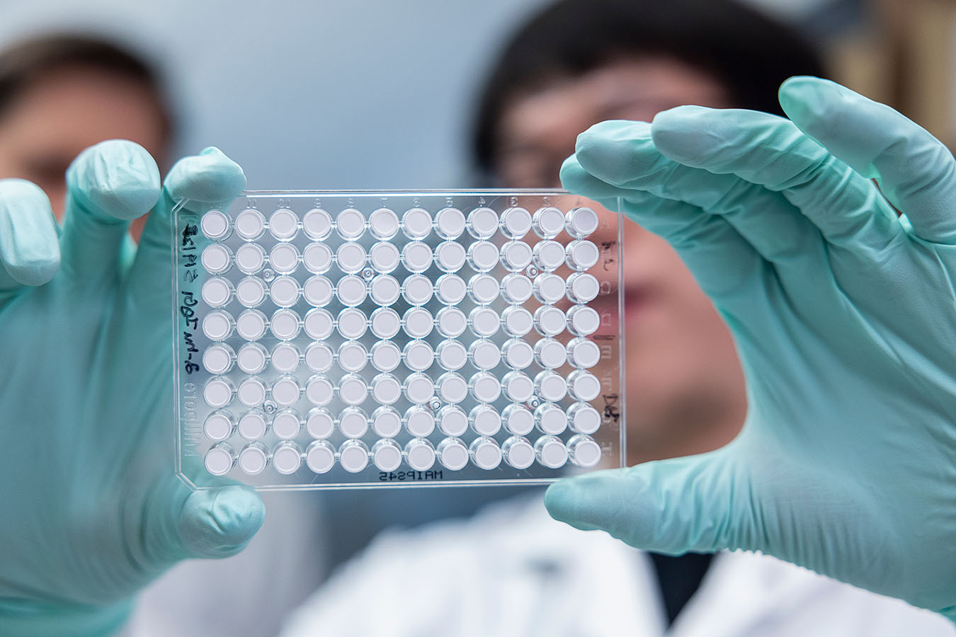 Researchers hold up a slide