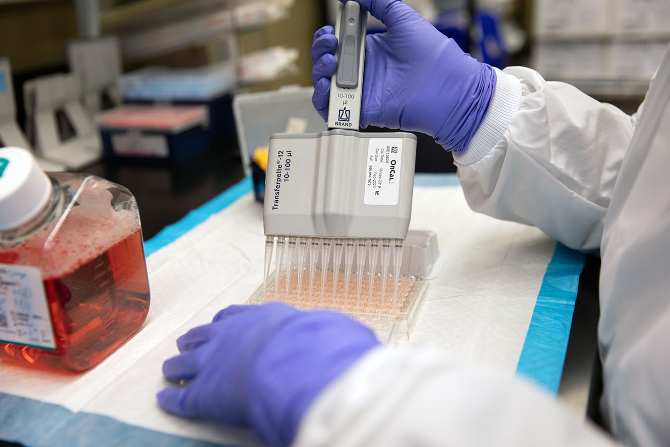 A researcher mid-experiment