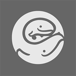 Miranda  Bradford,  MS 