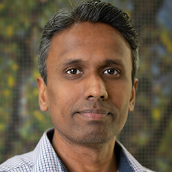 Krishnan, Vijay 