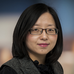 Zheng Xu, DMD, PhD 