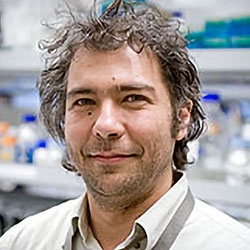 A Murat Maga, PhD
